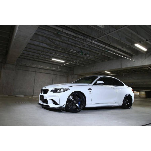 Carbon Fibre Front Splitter for BMW M2 (2015-2018, F87)