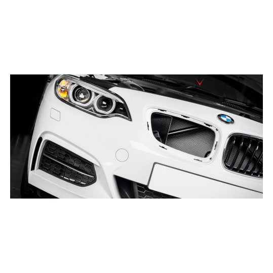 Yahua BMW M140i F20, M240i F22, 340i F30 & 440i F32 Carbon Fibre Intake System