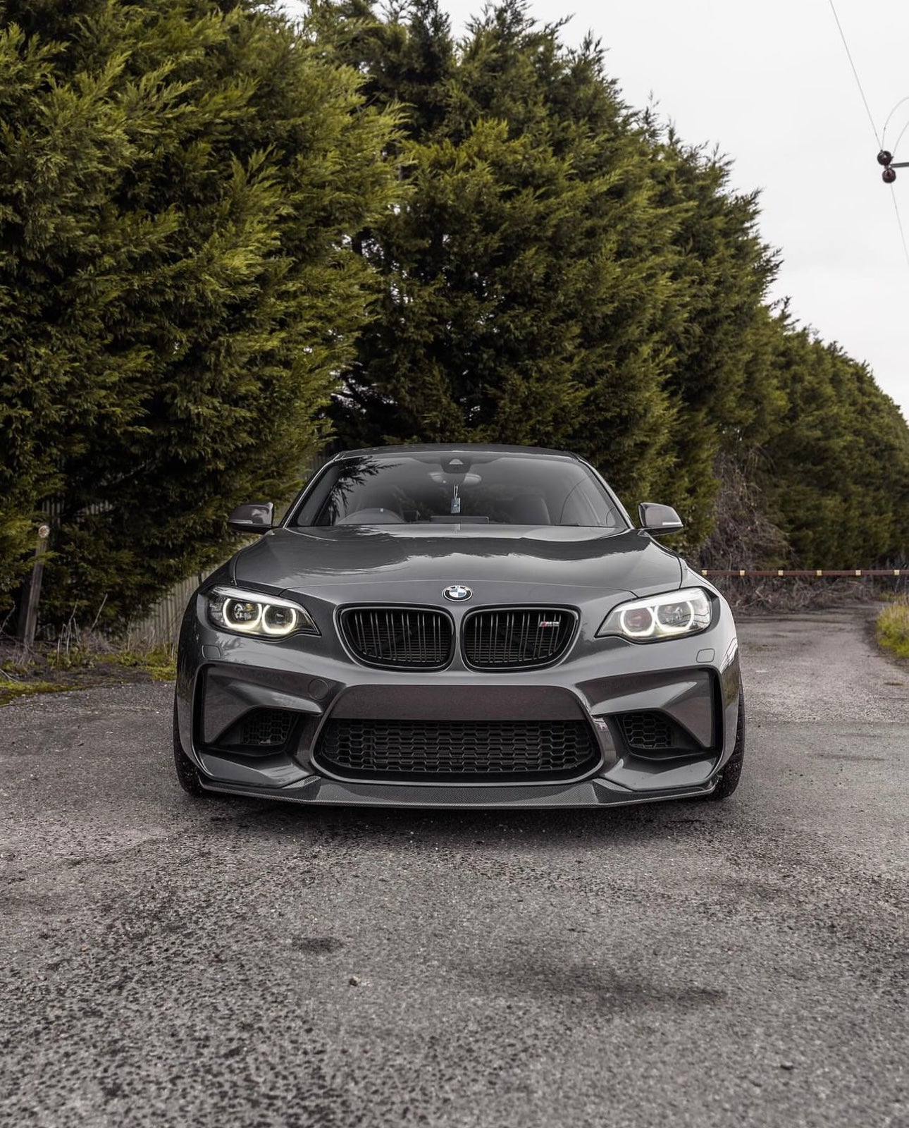 BMW OG M2 F87 Carbon Fibre E-CSL Front Splitter (2015-2018)