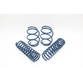 Yahua Performance Spring set for BMW E60 M5
